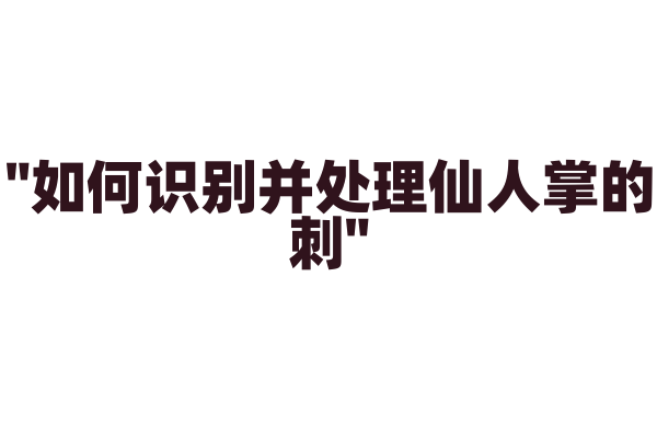 "如何识别并处理仙人掌的刺"